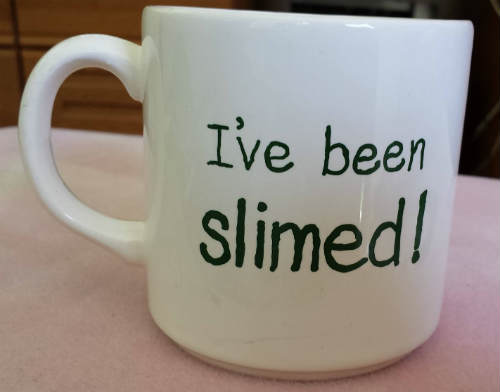 I've Been Slimed!